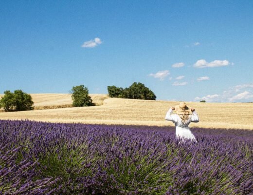 The Ultimate Provence Lavender Field Guide 2019 | France